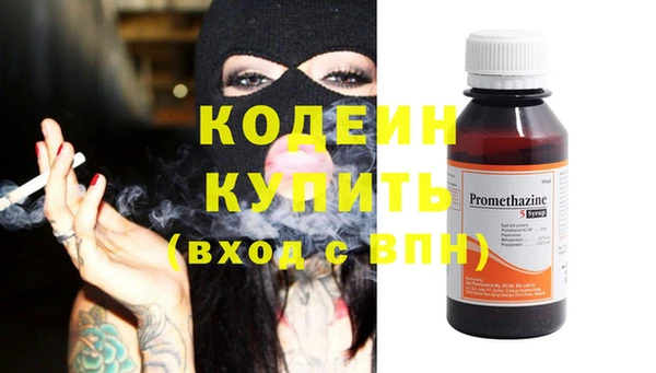 крисы Осинники