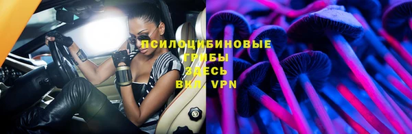 крисы Осинники