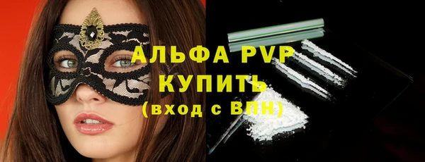 крисы Осинники