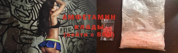 крисы Осинники