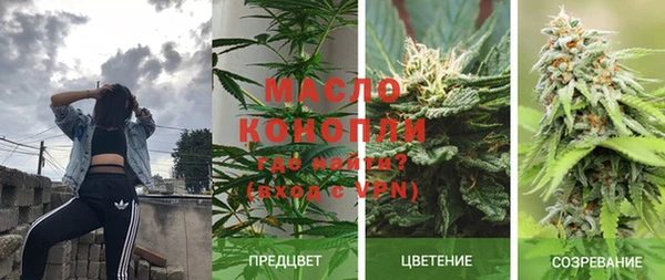 крисы Осинники