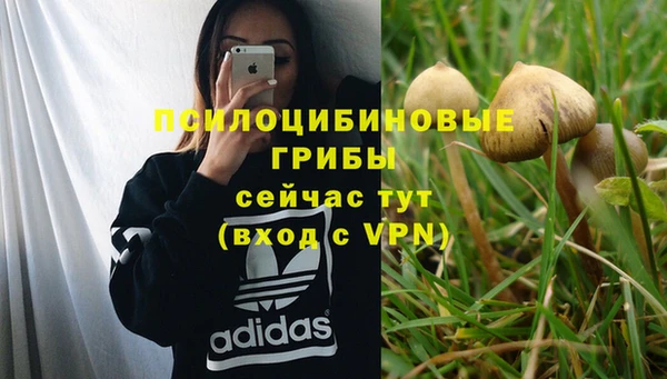 крисы Осинники