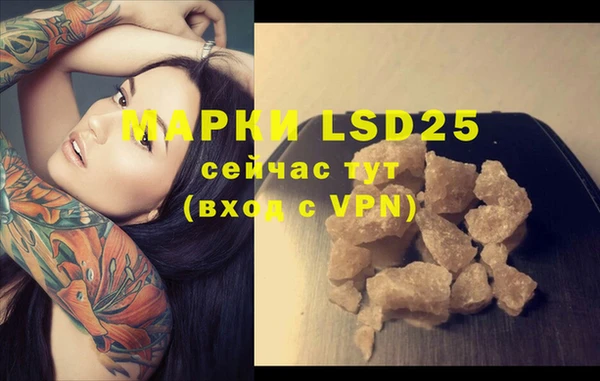 крисы Осинники