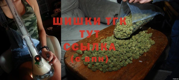 крисы Осинники