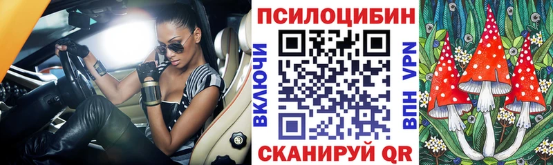 закладка  Мурманск  дарк нет Telegram  Псилоцибиновые грибы мицелий 