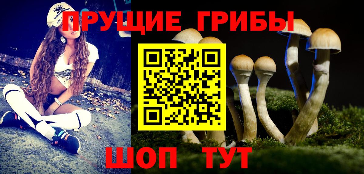 Галлюциногенные грибы Psilocybine cubensis  Галлюциногенные грибы Cubensis  даркнет сайт  Мурманск 