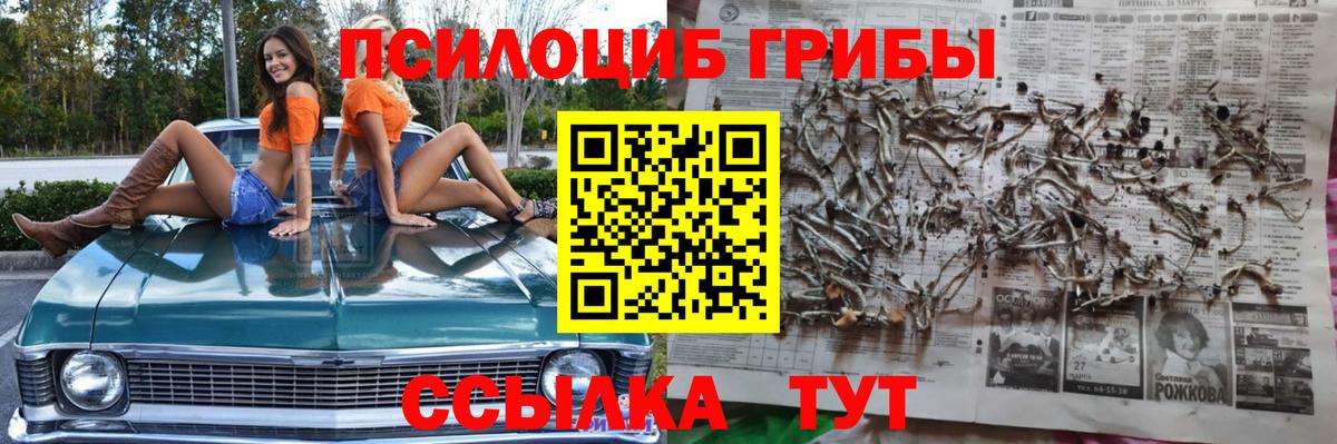Псилоцибиновые грибы ЛСД  Вход с VPN  Мурманск 