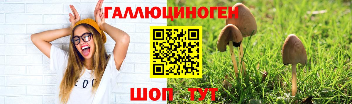 Галлюциногенные грибы Magic Shrooms Мурманск